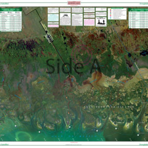 Everglades_Large_Print_40E_Side_A