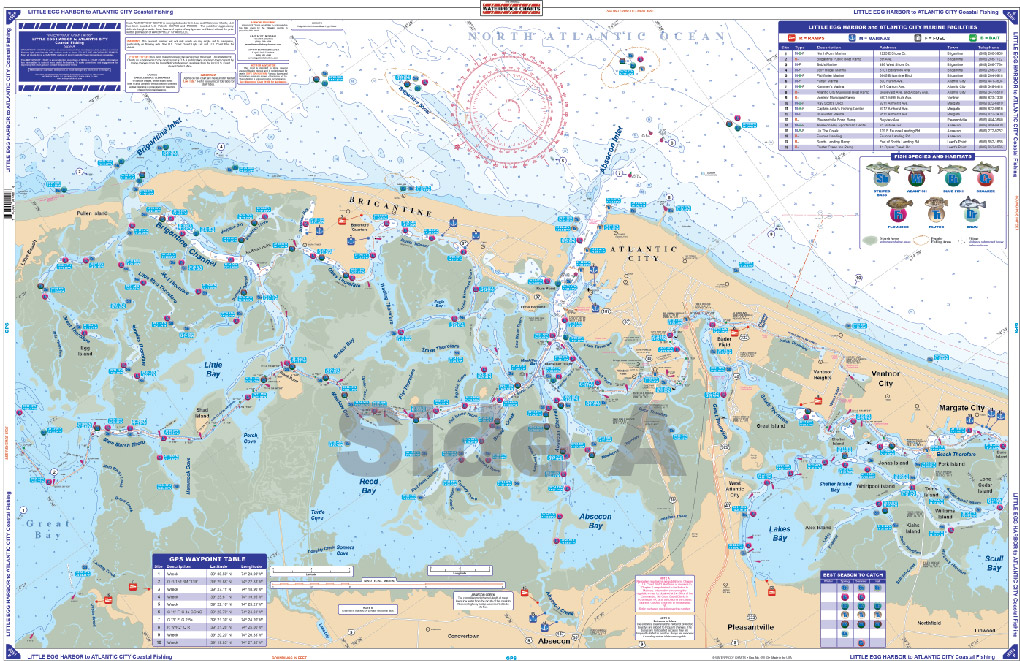 Nautical Chart Of A Harbor