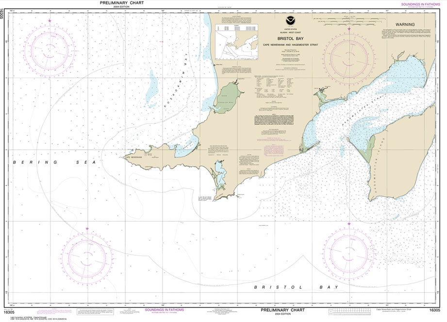 Bristol Bay-Cape Newenham and Hagemeister Strait