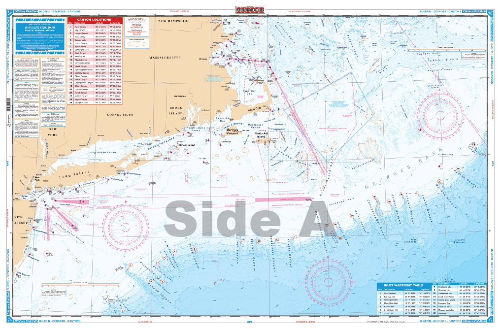 Cape Cod Bay Fishing Chart