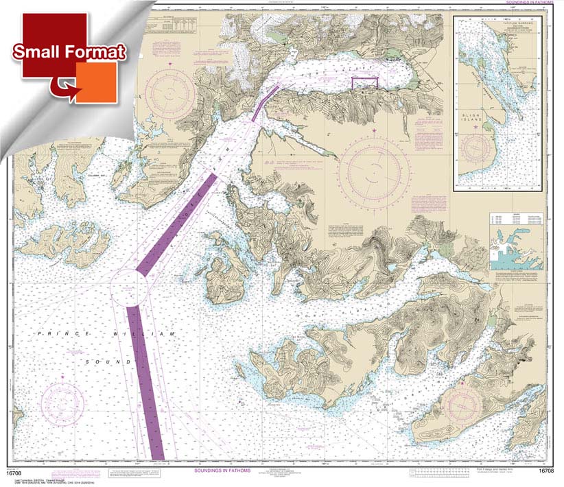 Prince William Sound-Port Fidalgo and Valdez Arm;Tatitlek Narrows