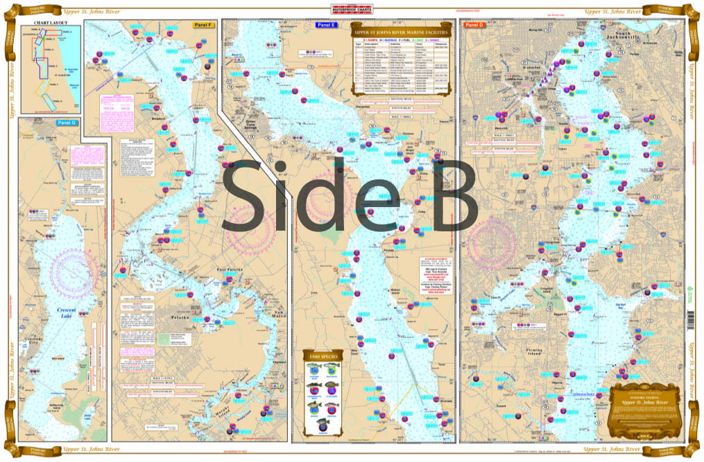 Lower St. John's River Navigation Chart 37S